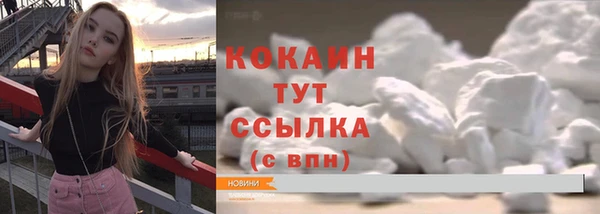 гашик Надым