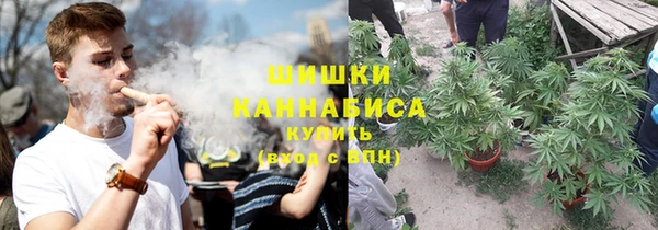 гашик Надым