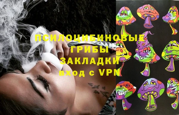 гашик Надым