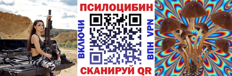 Галлюциногенные грибы Magic Shrooms  продажа наркотиков  Зуевка 